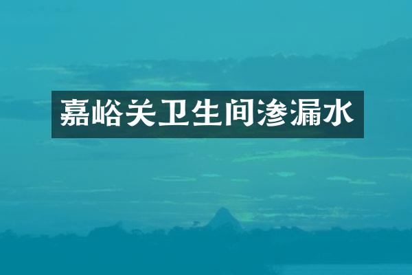 嘉峪关卫生间渗漏水