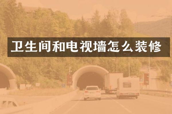 卫生间和电视墙怎么装修