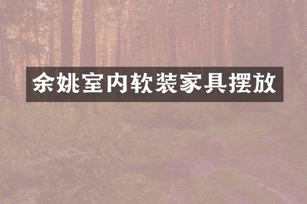 余姚室内软装家具摆放
