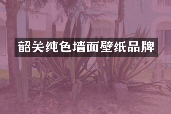 韶关纯色墙面壁纸品牌
