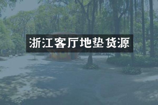 浙江客厅地垫货源