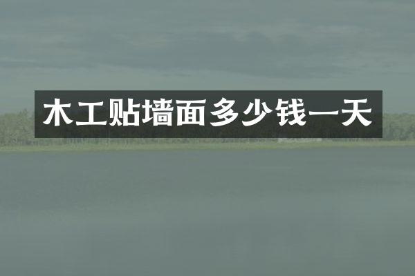 木工贴墙面多少钱一天