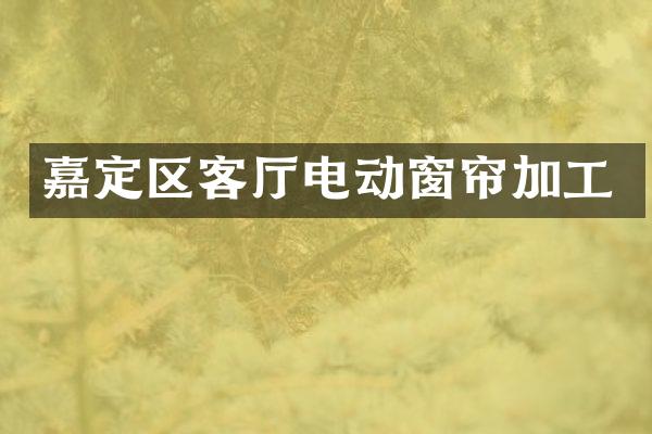 嘉定区客厅电动窗帘加工