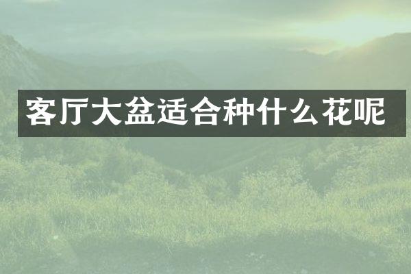 客厅大盆适合种什么花呢