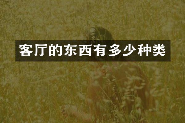 客厅的东西有多少种类