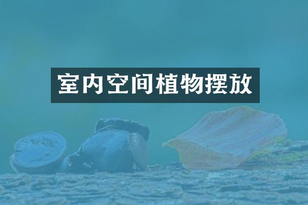 室内空间植物摆放
