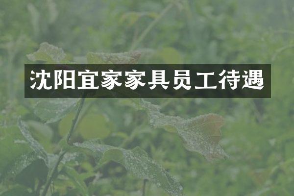 沈阳宜家家具员工待遇