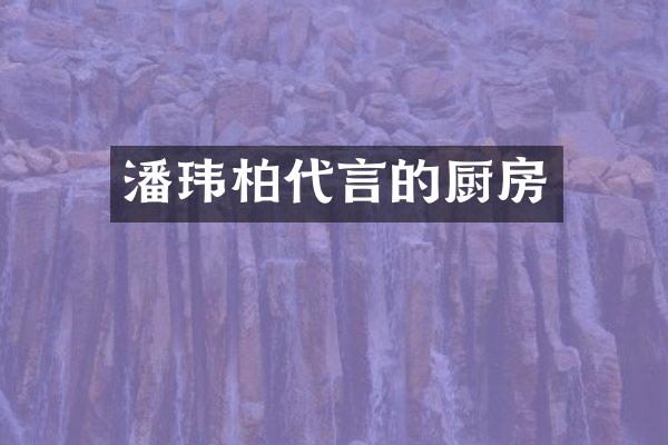 潘玮柏代言的厨房