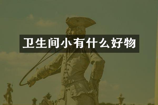 卫生间小有什么好物