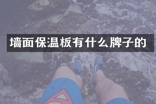 墙面保温板有什么牌子的