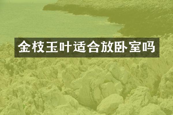 金枝玉叶适合放卧室吗