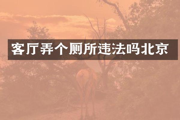 客厅弄个厕所违法吗北京