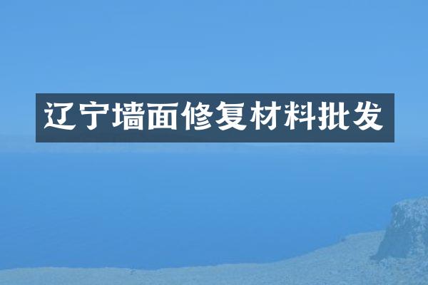 辽宁墙面修复材料批发