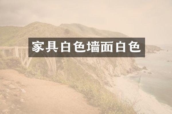 家具白色墙面白色