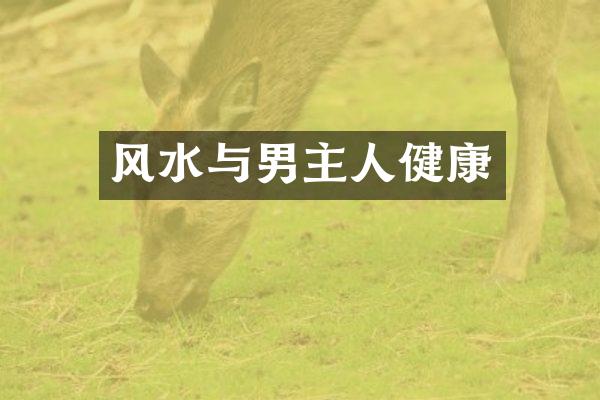 风水与男主人健康
