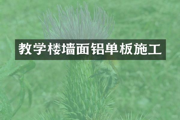 教学楼墙面铝单板施工