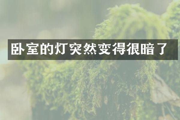 卧室的灯突然变得很暗了