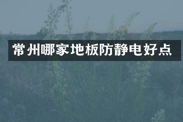 常州哪家地板防静电好点