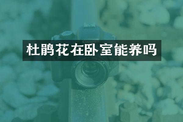 杜鹃花在卧室能养吗