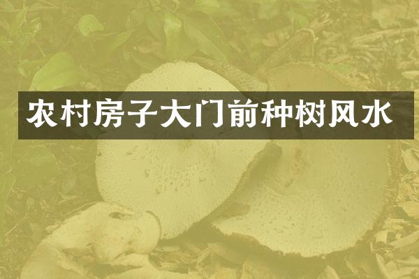 农村房子大门前种树风水