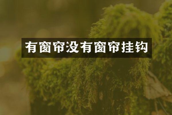 有窗帘没有窗帘挂钩
