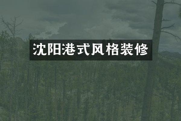 沈阳港式风格装修