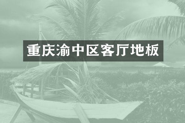 重庆渝中区客厅地板
