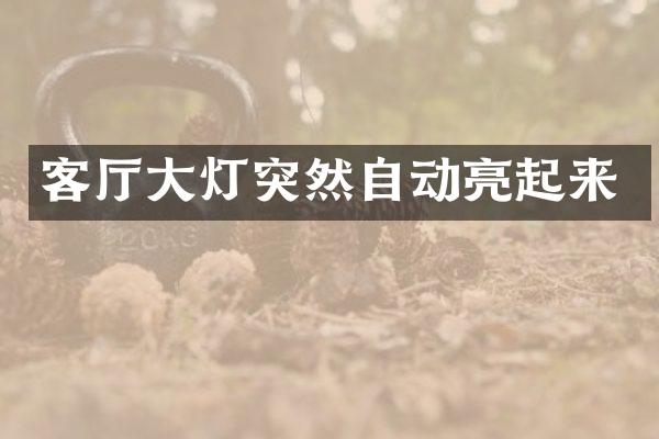 客厅大灯突然自动亮起来