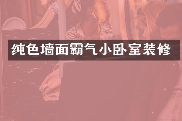 纯色墙面霸气小卧室装修