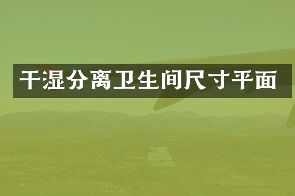 干湿分离卫生间尺寸平面