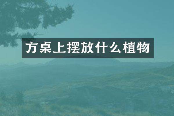 方桌上摆放什么植物
