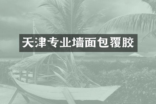 天津专业墙面包覆胶