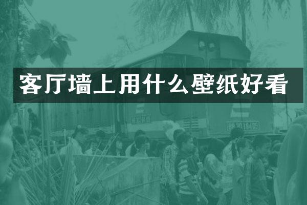 客厅墙上用什么壁纸好看