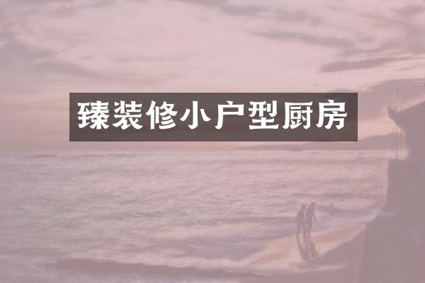臻装修小户型厨房