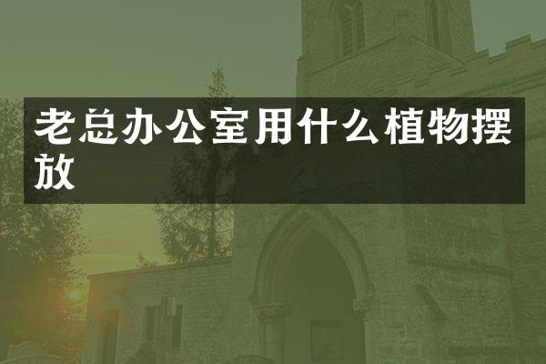 老总办公室用什么植物摆放