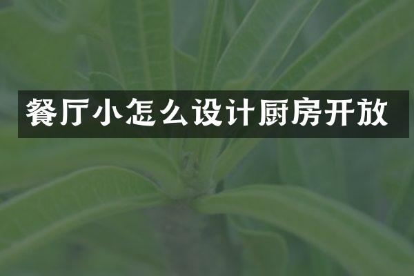 餐厅小怎么设计厨房开放