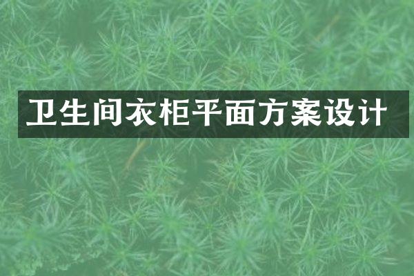 卫生间衣柜平面方案设计