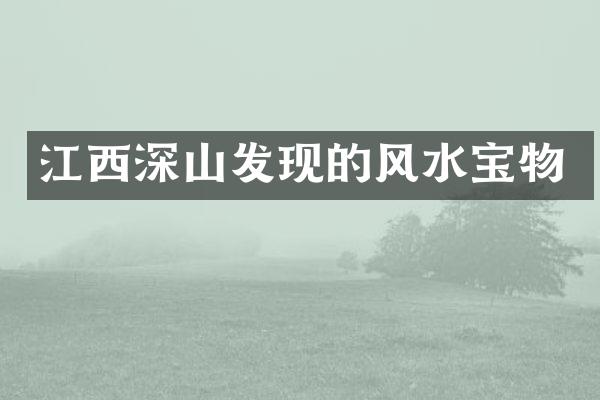 江西深山发现的风水宝物