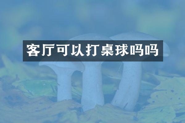 客厅可以打桌球吗吗