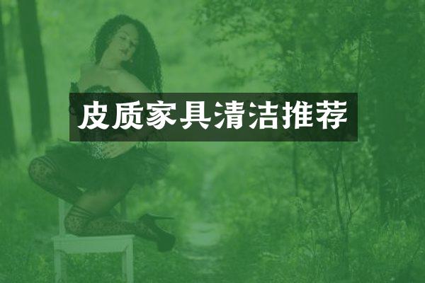 皮质家具清洁推荐