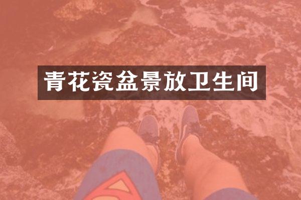青花瓷盆景放卫生间