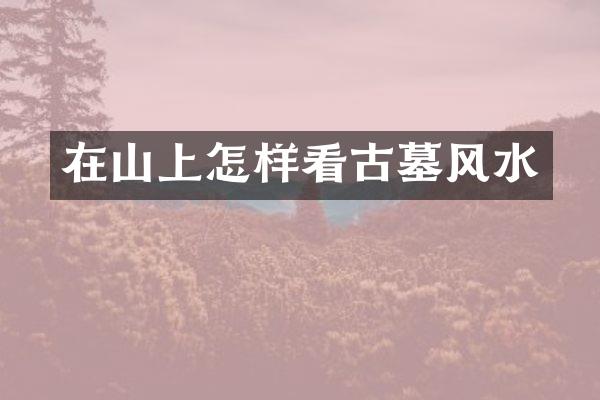 在山上怎样看古墓风水