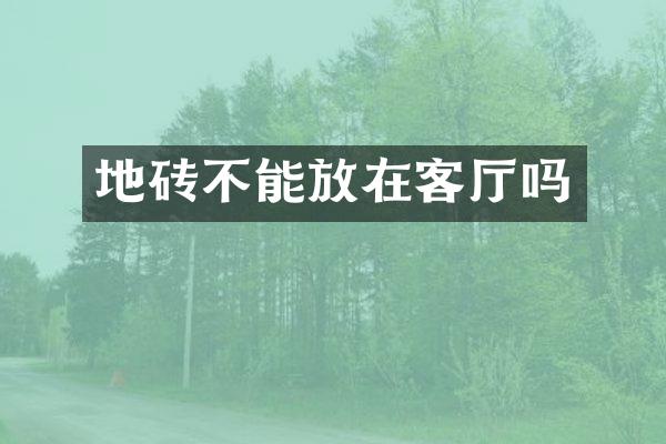 地砖不能放在客厅吗
