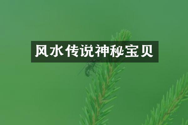 风水传说神秘宝贝