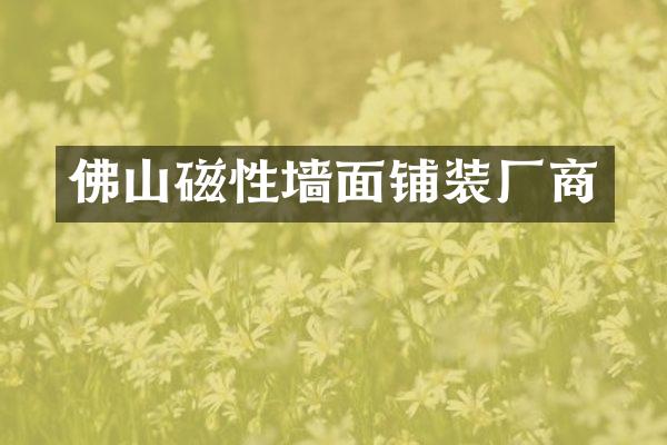 佛山磁性墙面铺装厂商