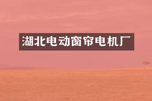 湖北电动窗帘电机厂