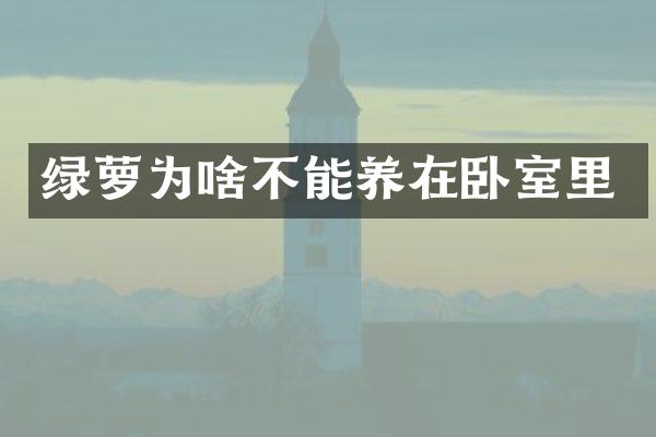 绿萝为啥不能养在卧室里