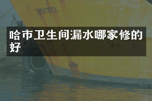 哈市卫生间漏水哪家修的好