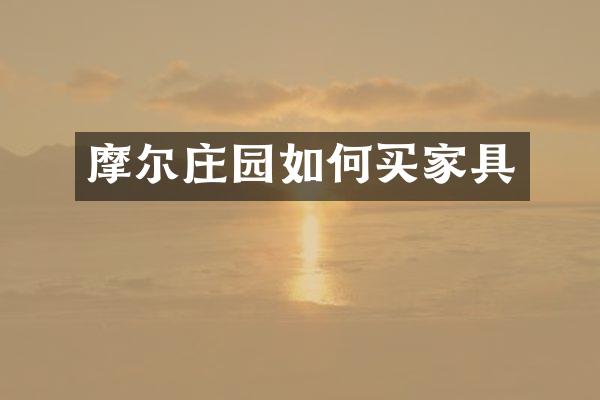 摩尔庄园如何买家具
