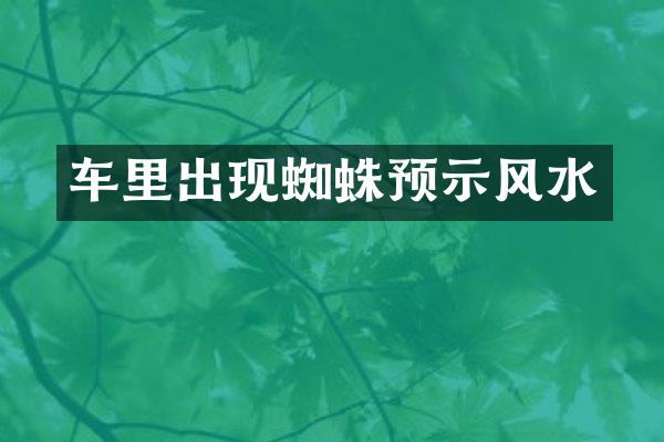 车里出现蜘蛛预示风水